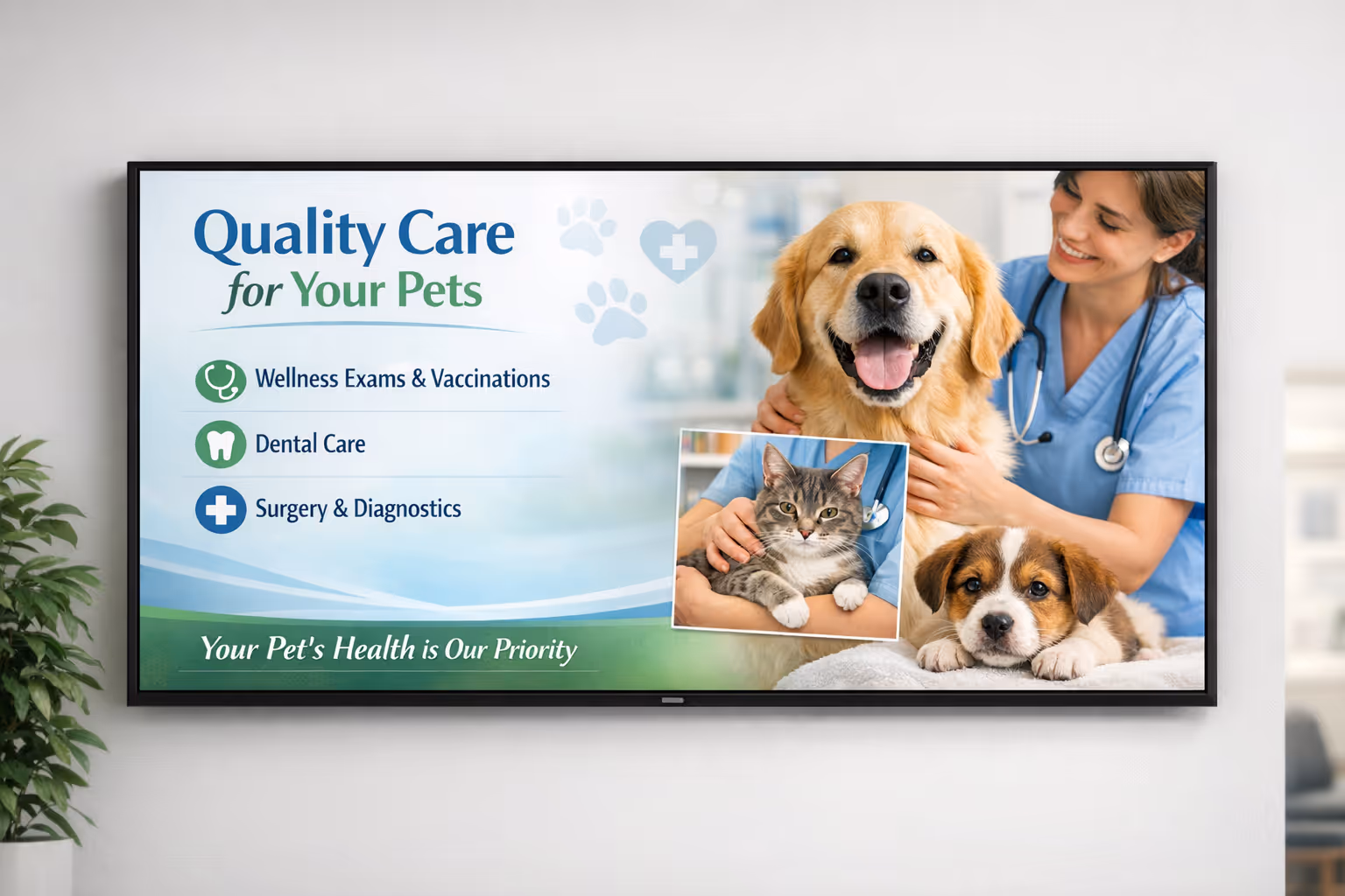 Veterinary digital signage on secure in-branch screens with Disign